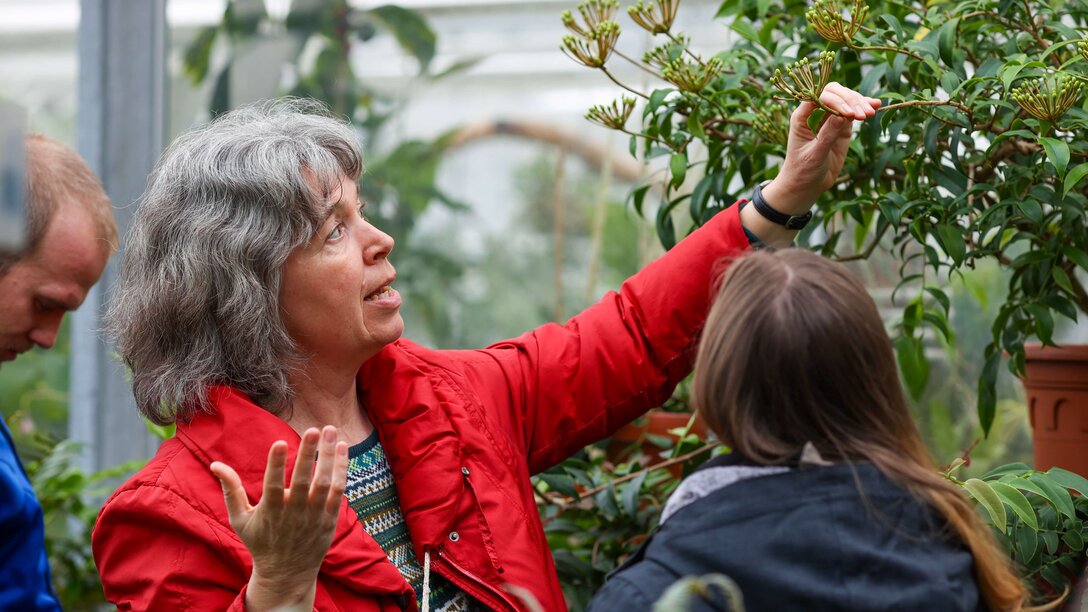 Prof. Dr. Piepenbring im Wissenschaftsgarten der Goethe-Universität | © Jeldrik Schröer
